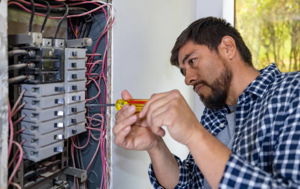 Best 24-Hour Electrician  in Beechwood, MI